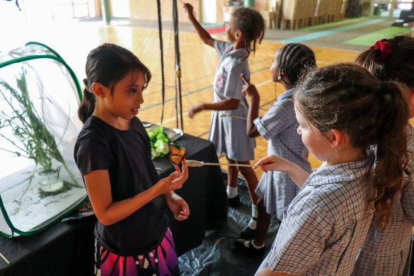 Students passing a butterfly on a wand