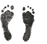 Tahlia&rsquo;s footprints